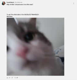 Screenshot 2022-03-06 at 18-18-00 Foodie Beauty - YouTube.png