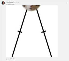 Screenshot 2022-03-06 at 23-27-17 Foodie Beauty - YouTube.png