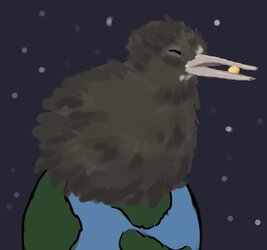 Kiwi.jpg