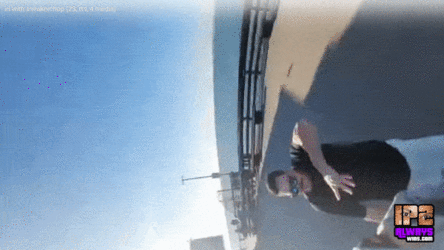 fgfdg.gif