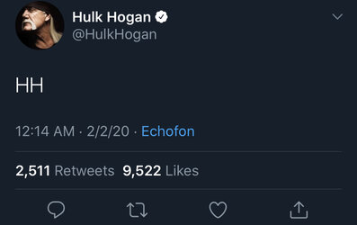Hulk Hogan.jpg