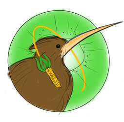 kiwi.jpg