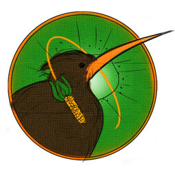 kiwi (2).jpg