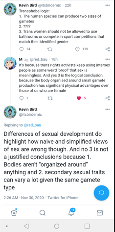 kevin bird.PNG