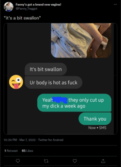 fannyspelling.png