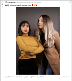 YWNBAW 22.png