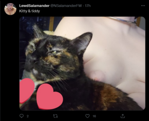 Screenshot 2022-03-09 at 00-12-48 Tweets with replies by LewdSalamander ( NSalamanderFW) Twitter.png