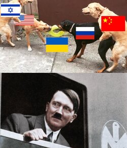 1646791020557.jpg