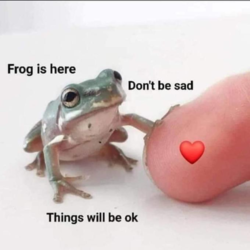 1612474043602.png
