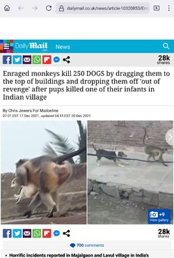 Screenshot_20220309-091015_Firefox.jpg