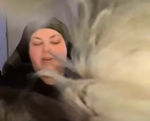 1646918357706.png 1646918357706.png