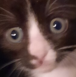 thelittlest.jpg