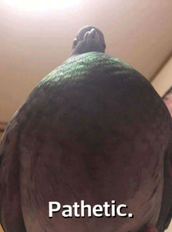 1546853173151.png