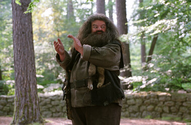 RubeusHagrid_WB_F3_HagroiTeachingALessonInTheForset_Still_080615_Land.jpg