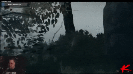 elden ring.gif