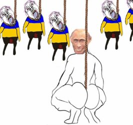 1647276458247.jpg