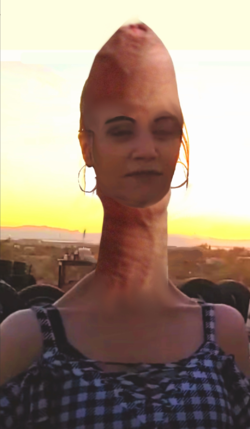 1647303151523.png