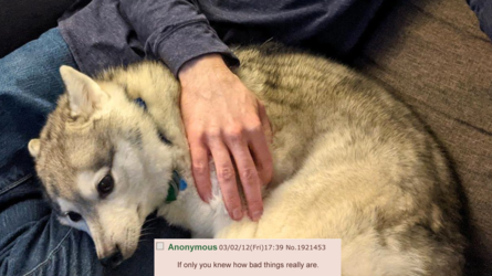11.PNG