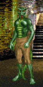 DF-pc-Argonian_(male).jpg