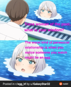1647447978545.png
