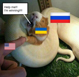 1647403711090.png