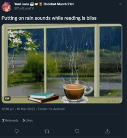 1647456819322.png