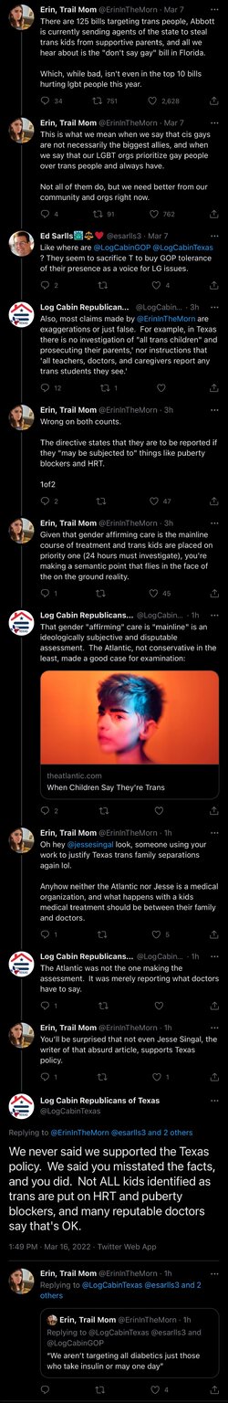 Erin log cabin repubs.jpeg