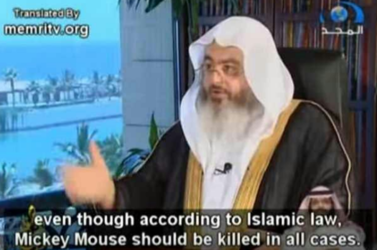 17353kh9z2f81.png