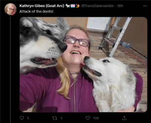 Screenshot 2022-03-17 at 12-09-31 Tweets with replies by Kathryn Gibes (Goat Arc) 🐐🏳️‍⚧️✨ (@Tr...png
