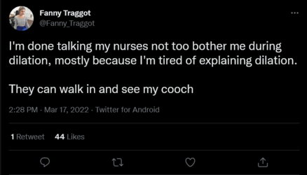 Screenshot 2022-03-17 at 16-43-56 Fanny Traggot on Twitter.png