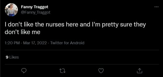 Screenshot 2022-03-17 at 16-45-33 Fanny Traggot on Twitter.png