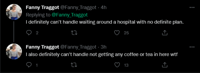 Screenshot 2022-03-17 at 16-46-21 Fanny Traggot on Twitter.png