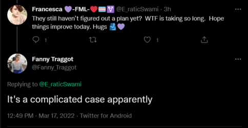 Screenshot 2022-03-17 at 16-47-33 Fanny Traggot on Twitter.png