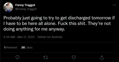 Screenshot 2022-03-17 at 16-48-38 Fanny Traggot on Twitter.png