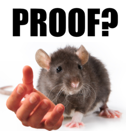 proof.png