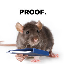 proof.jpg