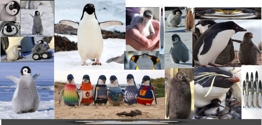 pengwins.png