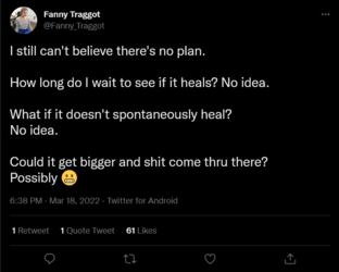 Screenshot 2022-03-19 at 13-14-10 Fanny Traggot on Twitter.png