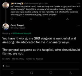 Screenshot 2022-03-19 at 13-15-14 Fanny Traggot on Twitter.png
