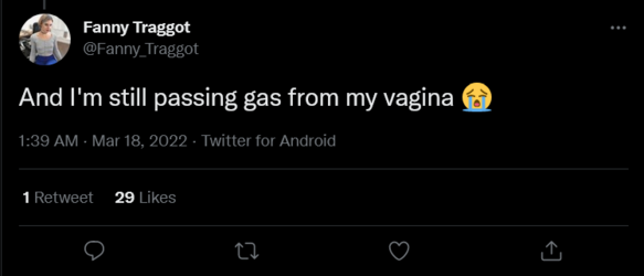 Screenshot 2022-03-19 at 13-18-02 Fanny Traggot on Twitter.png