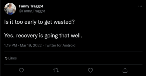 Screenshot 2022-03-19 at 13-22-29 Fanny Traggot on Twitter.png