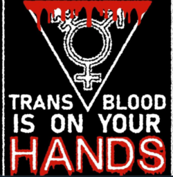 1647562306994.png
