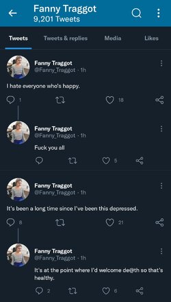 Screenshot_20220319-095325_Twitter.jpg