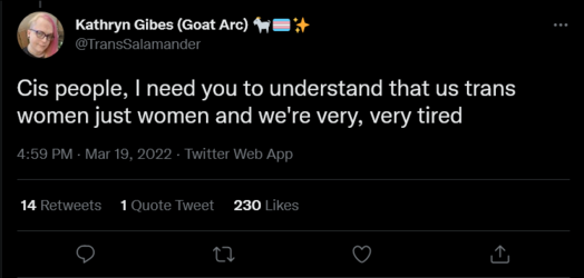 Screenshot 2022-03-20 at 00-39-59 Kathryn Gibes (Goat Arc) 🐐🏳️‍⚧️✨ on Twitter.png