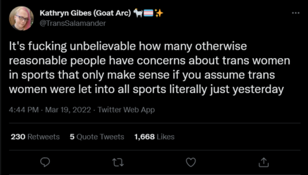 Screenshot 2022-03-20 at 00-43-55 Kathryn Gibes (Goat Arc) 🐐🏳️‍⚧️✨ on Twitter.png