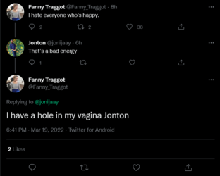 Screenshot 2022-03-20 at 00-53-37 Fanny Traggot on Twitter.png