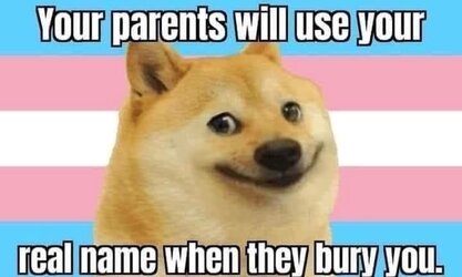 11a35959e95292d3f9fe7dfd79ea8d3fc1f7aa75.jpg