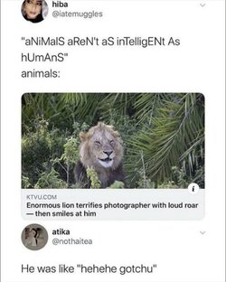 trHWkQf.jpeg