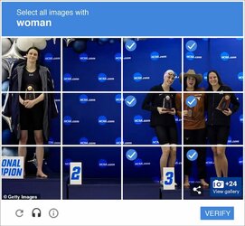 sanity captcha.jpg