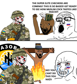 1647455708226.png